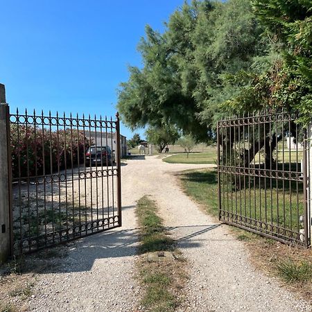 « La Parenthese » Gite En Camargue Αρλ Εξωτερικό φωτογραφία