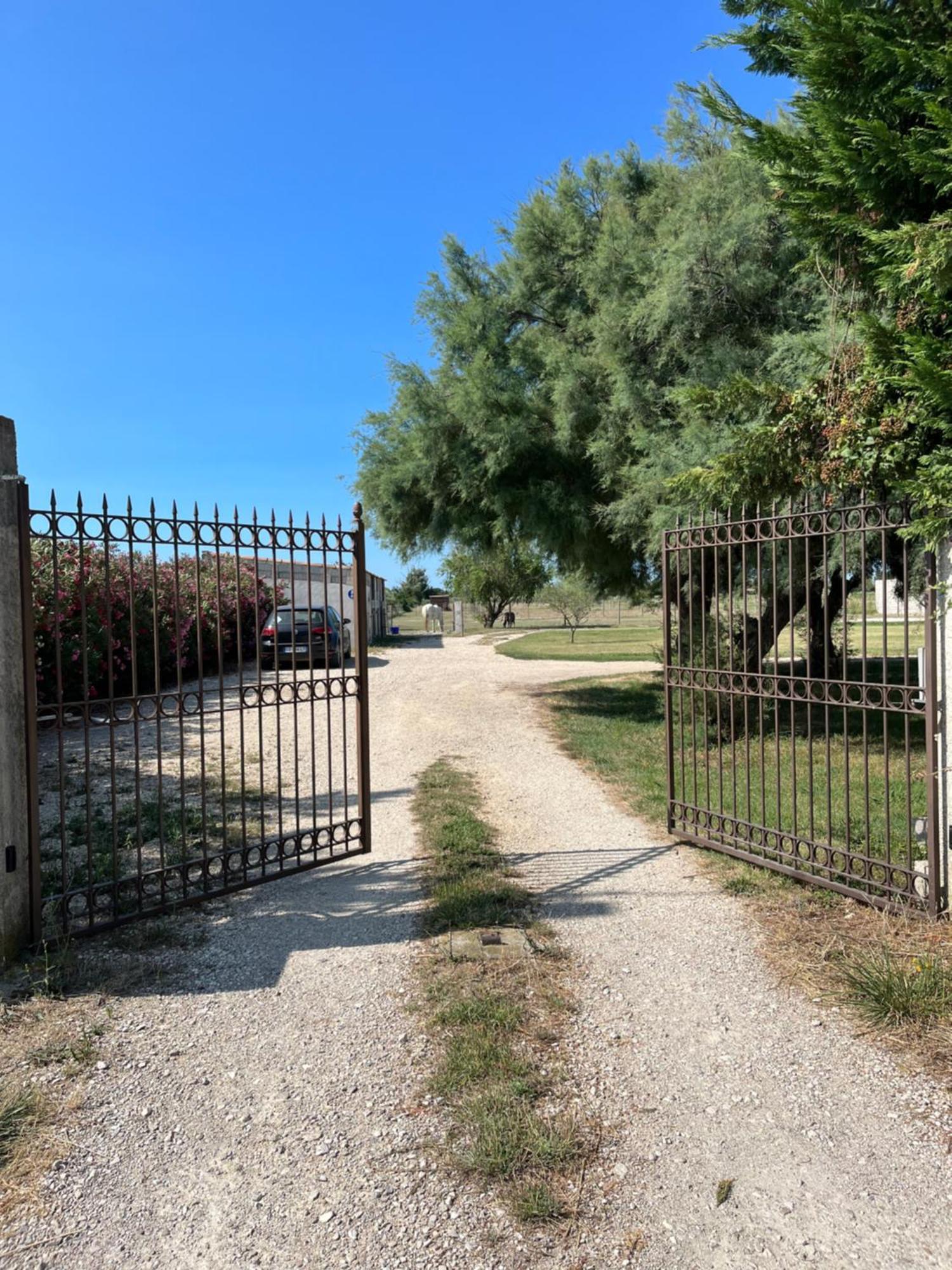 « La Parenthese » Gite En Camargue Αρλ Εξωτερικό φωτογραφία
