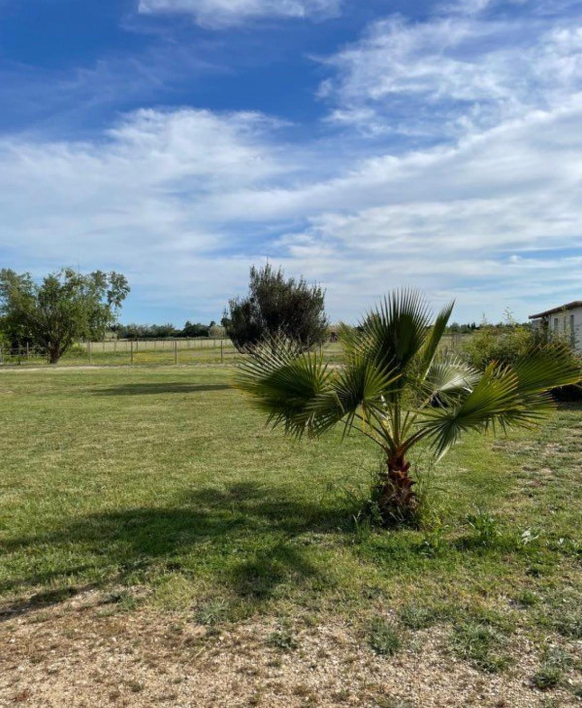 « La Parenthese » Gite En Camargue Αρλ Εξωτερικό φωτογραφία